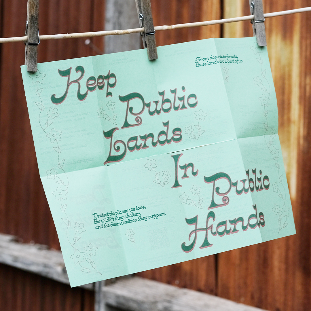 06_Dear Public Lands Zine Poster